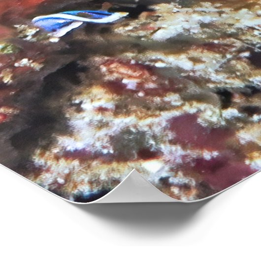 Rotbarsch Poster (Ecke)