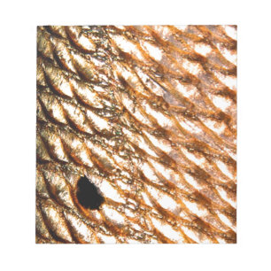 "Rotbarsch-" - rote Trommel durch PatternWear© Notizblock