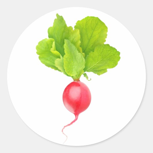 Rotbarsch Runder Aufkleber (Vorderseite)