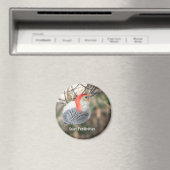 Rotbauchmagnet Magnet (In Situ (Geschirrspüler))