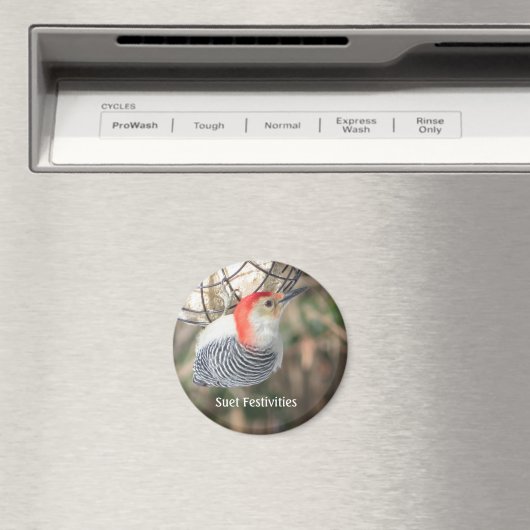 Rotbauchmagnet Magnet (In Situ (Geschirrspüler))