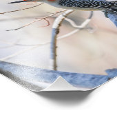 Rotbauchspecht Fotodruck (Ecke)