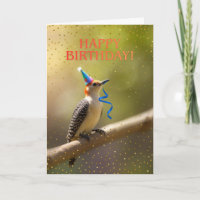 Rotbauchspecht Geburtstag Cute
