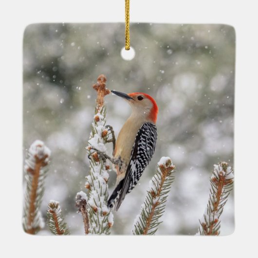 Rotbauchspecht im Schnee Keramikornament (Rückseite)