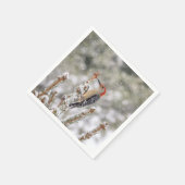 Rotbauchspecht im Schnee Serviette (Ecke)