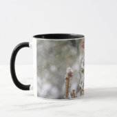 Rotbauchspecht im Schnee Tasse (Links)