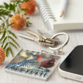 Rotbauchspecht mit rotem Kardinal Schlüsselanhänger (Vorderseite rechts)