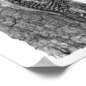 Rotbauchspecht Poster (Ecke)