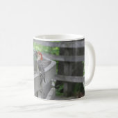 Rotbauchspecht-Tasse Kaffeetasse (VorderseiteRechts)