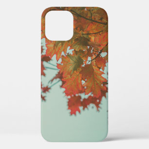 ROTBAUM Case-Mate iPhone HÜLLE