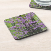 Rotbäume im vollen Frühling blühen in der Nähe von Getränkeuntersetzer (Linke Seite)