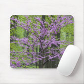 Rotbäume im vollen Frühling blühen in der Nähe von Mousepad (Mit Mouse)