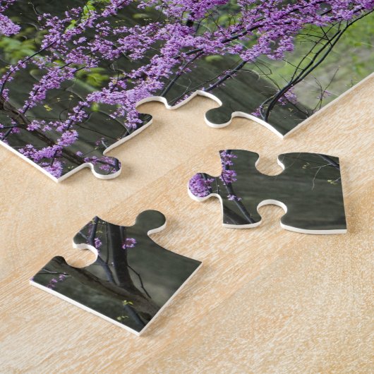 Rotbäume im vollen Frühling blühen in der Nähe von Puzzle (Seite)