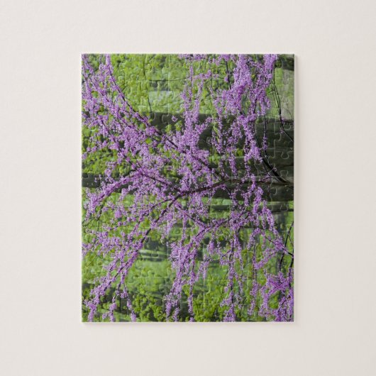 Rotbäume im vollen Frühling blühen in der Nähe von Puzzle (Vertikal)