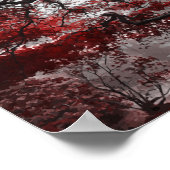 Rotblütenbaum Poster (Ecke)