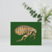 Rotbraun Postkarte (Stehend Vorderseite)