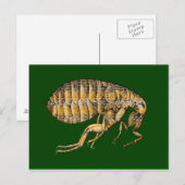 Rotbraun Postkarte (Vorne/Hinten)