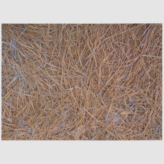 Rotbraune Kiefernstrohnadeln Foto Seidenpapier (Vorderseite)