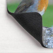 Rotbrüstiger Flycatcher Mousepad (Ecke)