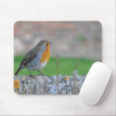Rotbrüstiger Flycatcher Mousepad (Mit Mouse)