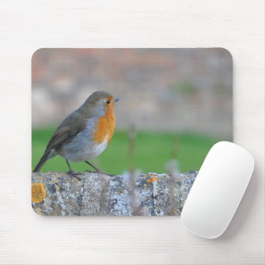 Rotbrüstiger Flycatcher Mousepad (Mit Mouse)