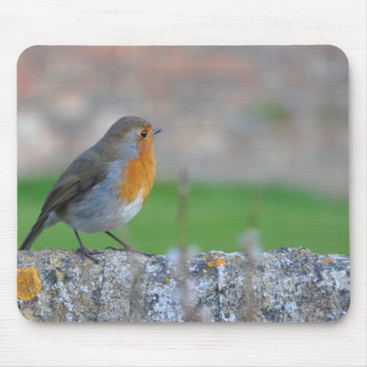 Rotbrüstiger Flycatcher Mousepad (Vorne)