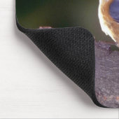 Rotbrüstiger Kleiber auf Niederlassung Mousepad (Ecke)