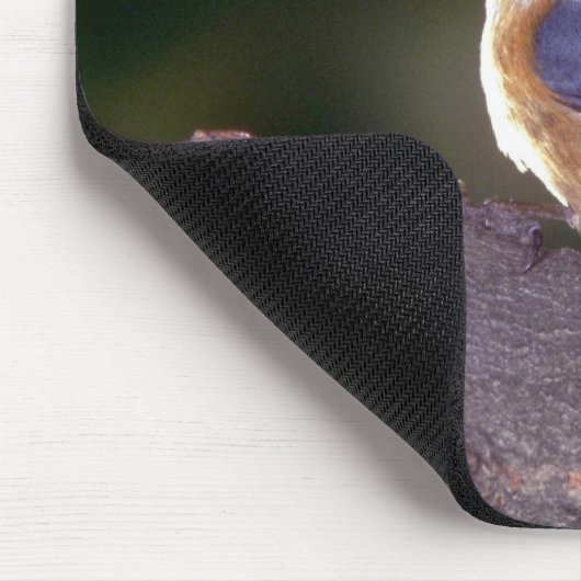 Rotbrüstiger Kleiber auf Niederlassung Mousepad (Ecke)