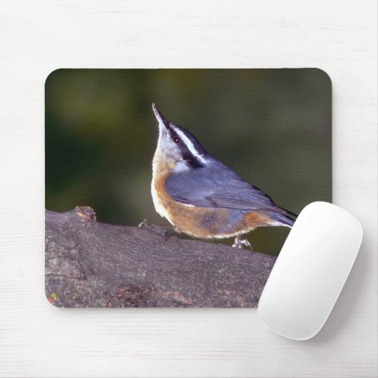 Rotbrüstiger Kleiber auf Niederlassung Mousepad (Mit Mouse)