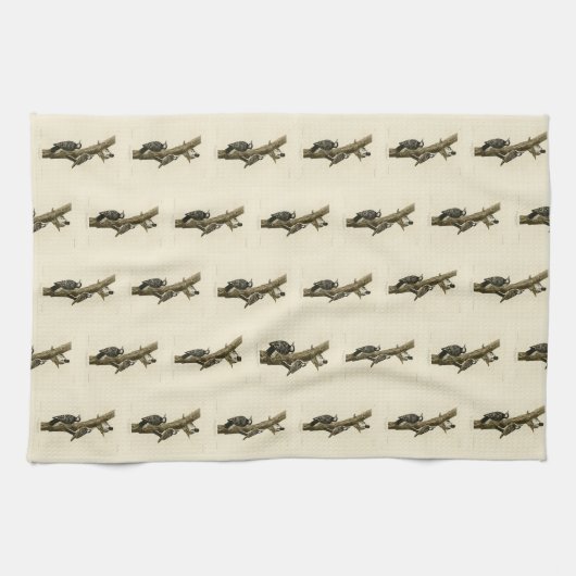 Rotcockaded Woodpecker Audubons Vögel von Amerika Geschirrtuch (Horizontal)