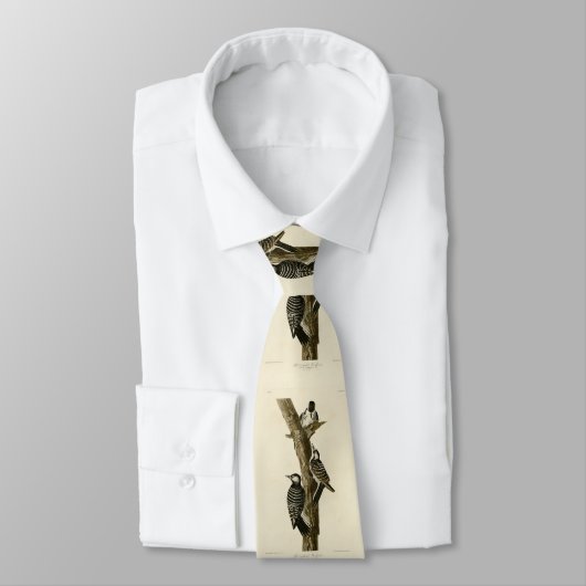 Rotcockaded Woodpecker Audubons Vögel von Amerika Krawatte (Gebunden)