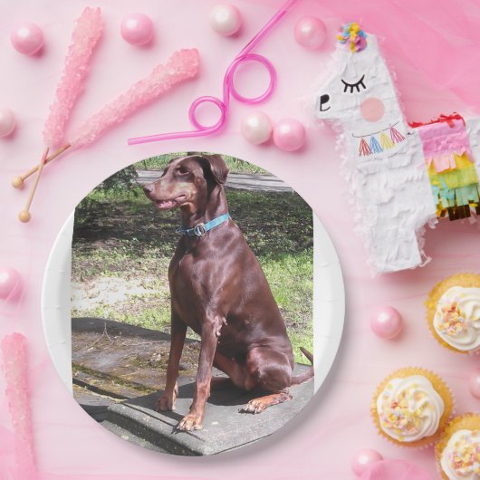 Rotdoberman Pappteller (Party)