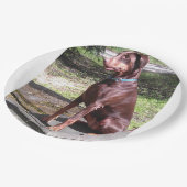 Rotdoberman Pappteller (Schrägansicht)