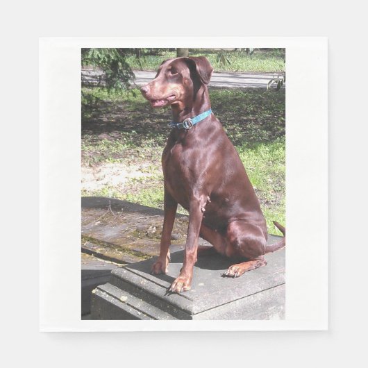 Rotdoberman Serviette (Vorderseite)