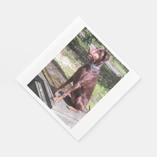 Rotdoberman Serviette (Ecke)