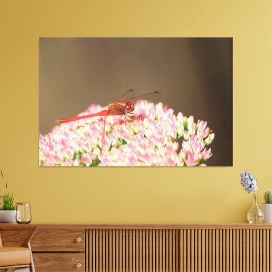 Rotdrachenfotografie Leinwanddruck (Insitu (Wohnzimmer))