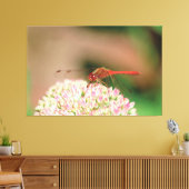 Rotdrachenfotografie Leinwanddruck (Insitu (Wohnzimmer))