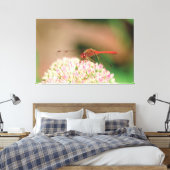 Rotdrachenfotografie Leinwanddruck (Insitu (Schlafzimmer))