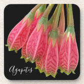 Rote Agapetes-Blume Getränkeuntersetzer (Vorderseite)