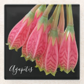 Rote Agapetes-Blume Glasuntersetzer (Vorderseite)
