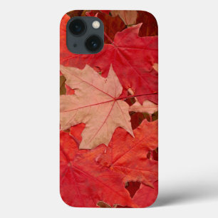 Rote Ahorn-Blätter Case-Mate iPhone Hülle