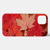 Rote Ahorn-Blätter Case-Mate iPhone Hülle (Rückseite (Horizontal))