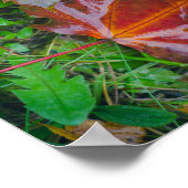 Rote Ahorn-Blätter Poster (Ecke)