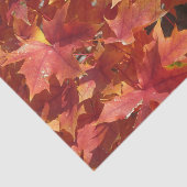 Rote Ahorn-Blätter Seidenpapier (Ausschnitt)