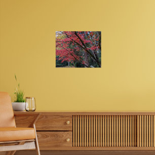Rote Ahornblätter an Baum Botanik Poster