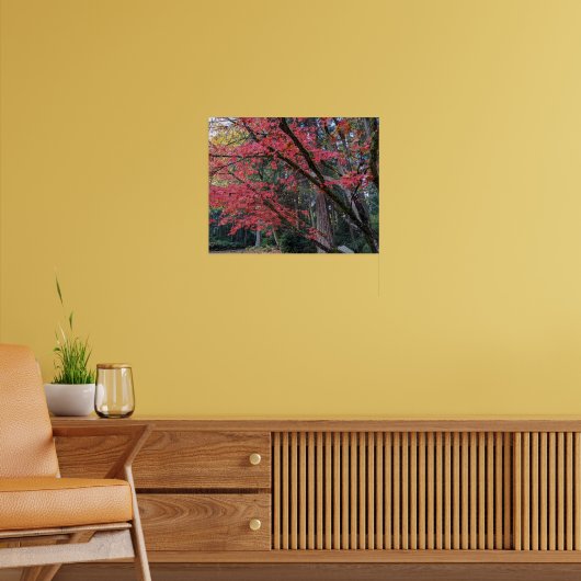 Rote Ahornblätter an Baum Botanik Poster (Wohnzimmer 2)