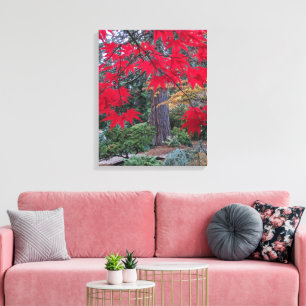 Rote Ahornblätter in einem japanischen Garten Leinwanddruck
