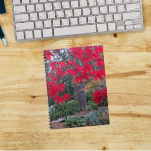 Rote Ahornblätter in einem japanischen Garten Notizblock