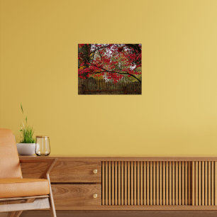Rote Ahornblätter und Bambuszaun Foto Poster
