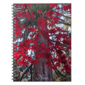 Rote Ahornfische Blätter und RiesenSequoia Notizblock (Vorderseite)